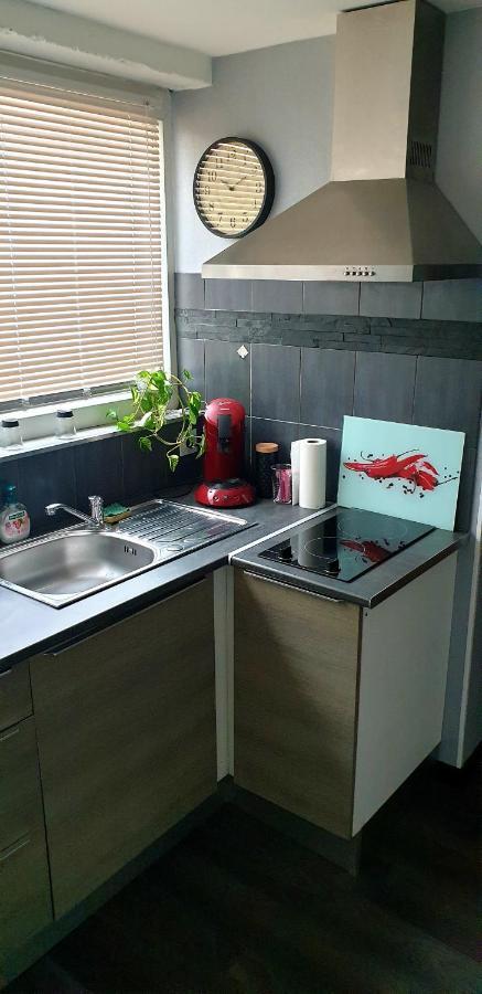 Ferienwohnung Plaisir Extreme Roanne Exterior foto